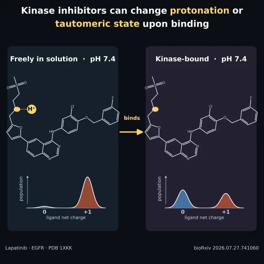 Figure from: Kinase inhibitors can change protonation or tautomeric state upon binding