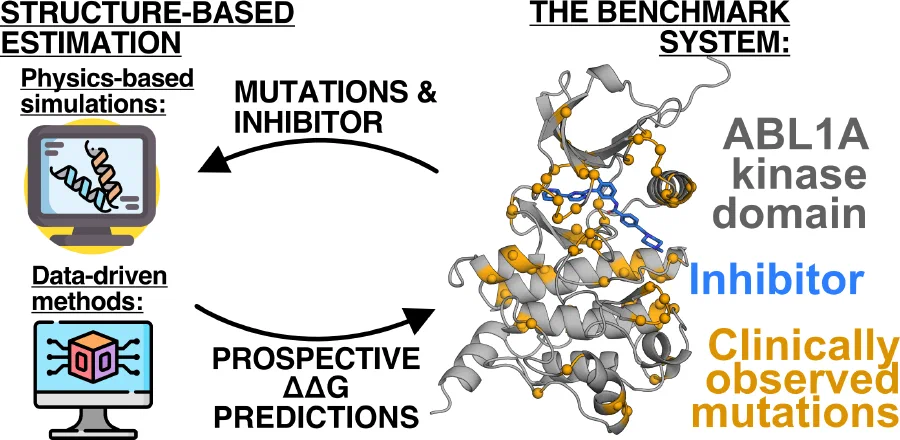 Figure from: Prospective Evaluation of Structure-Based Simulations Reveal Their Ability to Predict the Impact of Kinase Mutations on Inhibitor Binding